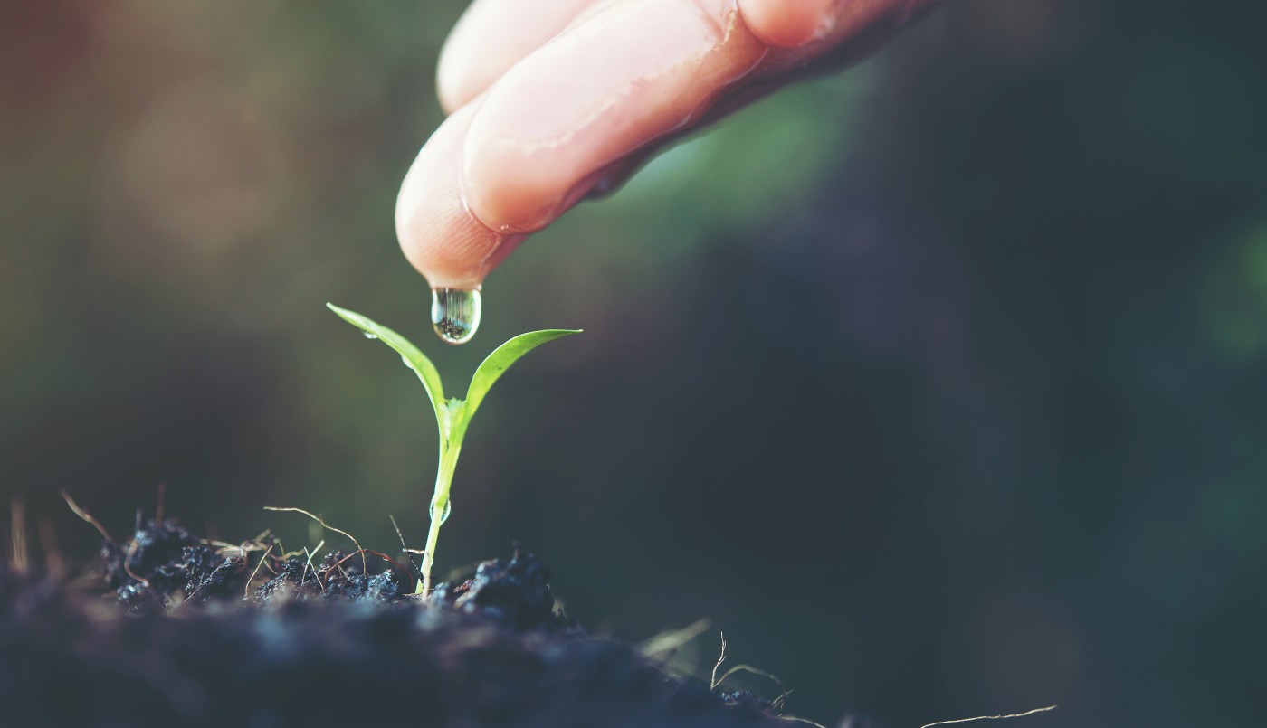 Google celebra el Día de la Tierra con algunas curiosidades sobre la biodiversidad de nuestro planeta | Tecnología