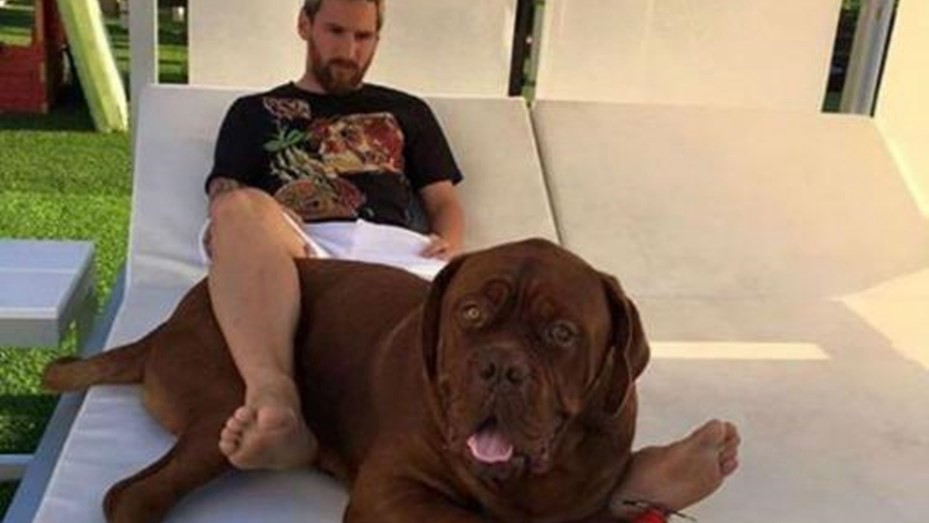 Messi descansa y disfruta de su nuevo "perrito", regalo de Antonella | Deportes