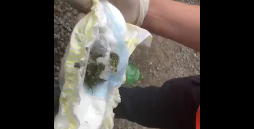 Detuvieron a una mujer que quiso entrar a la cancha de Laferrere con droga escondida en los pañales de un bebé | Información General