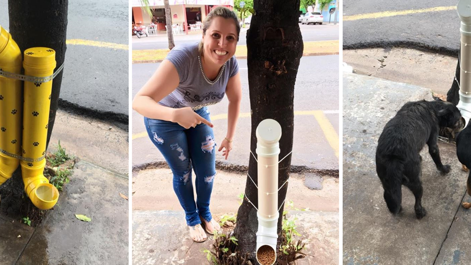 El ingenioso invento para alimentar a perros de la calle que se volvió viral | Tecnología