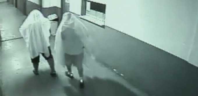 Brasil: detienen a dos exfuncionarios que robaron en un municipio disfrazados de fantasmas | Internacionales