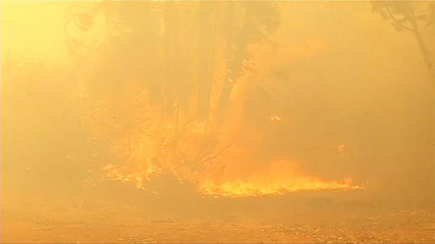 Más de 66 incendios forestales se mantienen activos en seis regiones chilenas | Internacionales