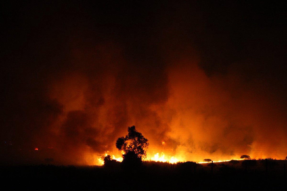 Chile afronta el mayor incendio forestal de su historia, con cuatro mil evacuados | Internacionales