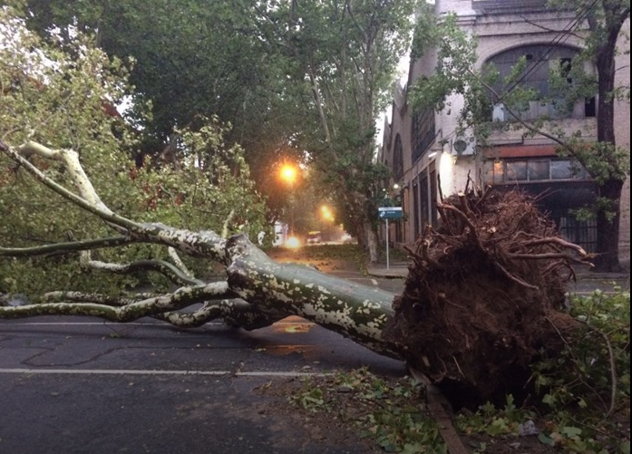 Unas 23.000 personas sin luz, evacuados y destrozos en Montevideo por el temporal | Internacionales