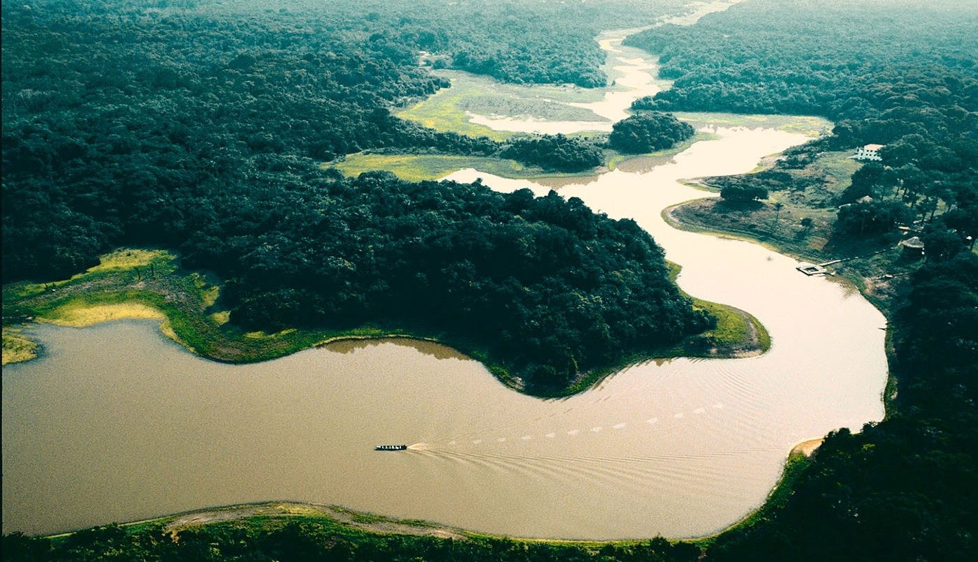 Cada minuto, la destrucción del Amazonas avanza a un estadio y medio de fútbol | Internacionales