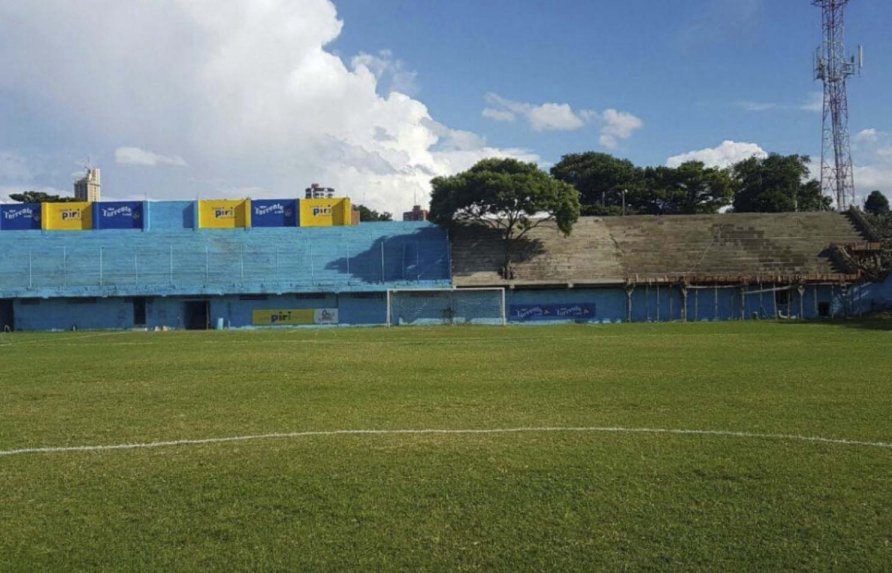 ¡El hincha más fiel! Un club de fútbol de Paraguay sumará a un árbol como socio | Internacionales