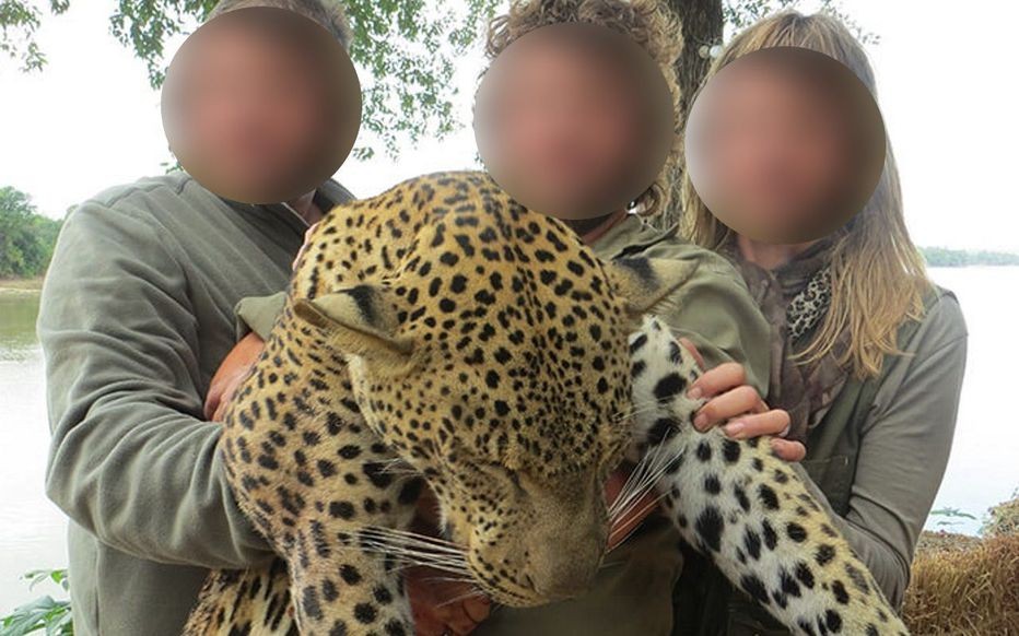 Fueron a cazar, mostraron en redes sus "trofeos" y los despidieron del trabajo | Internacionales