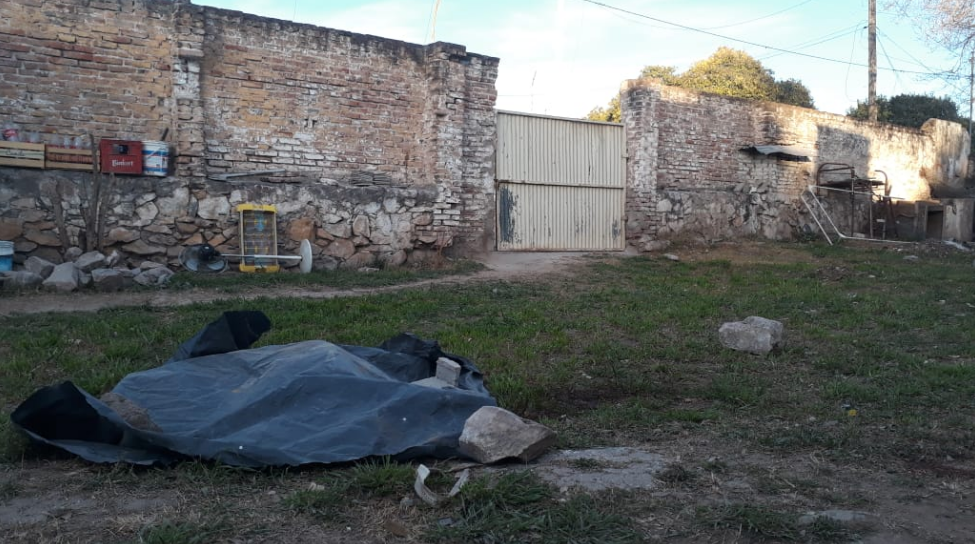 Córdoba: mataron a palazos a un dogo que atacó a cuatro personas | Información General