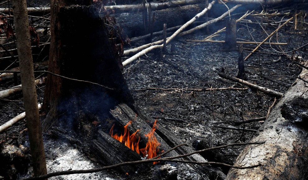 Bolsonaro culpó a las ONG por el fuego en la Amazonía: "Quieren derrocarme" | Internacionales