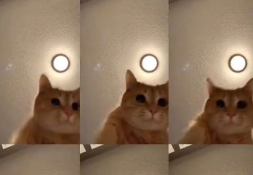 #MrSandmanChallange, el nuevo desafío viral que es furor en las redes | Tecnología