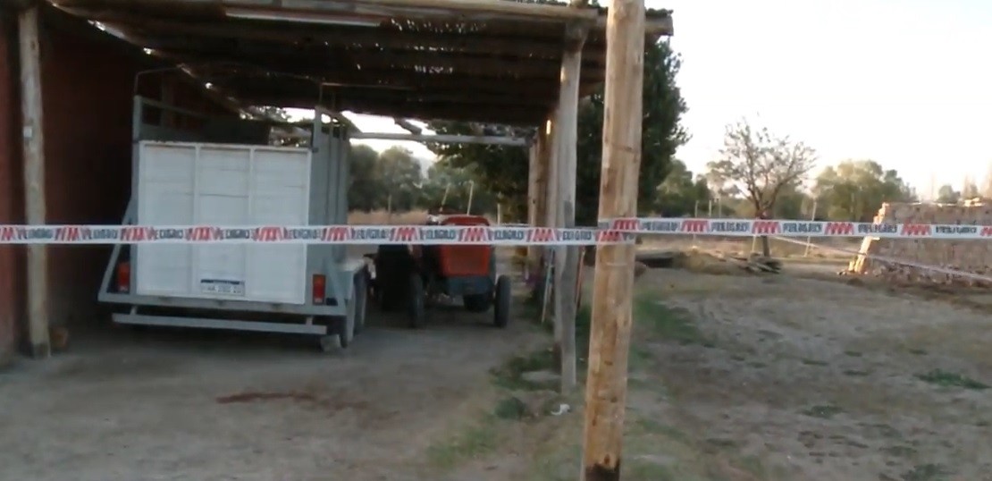 Jauría de perros atacó y mató a un nene de dos años a pocos metros de su casa | Información General