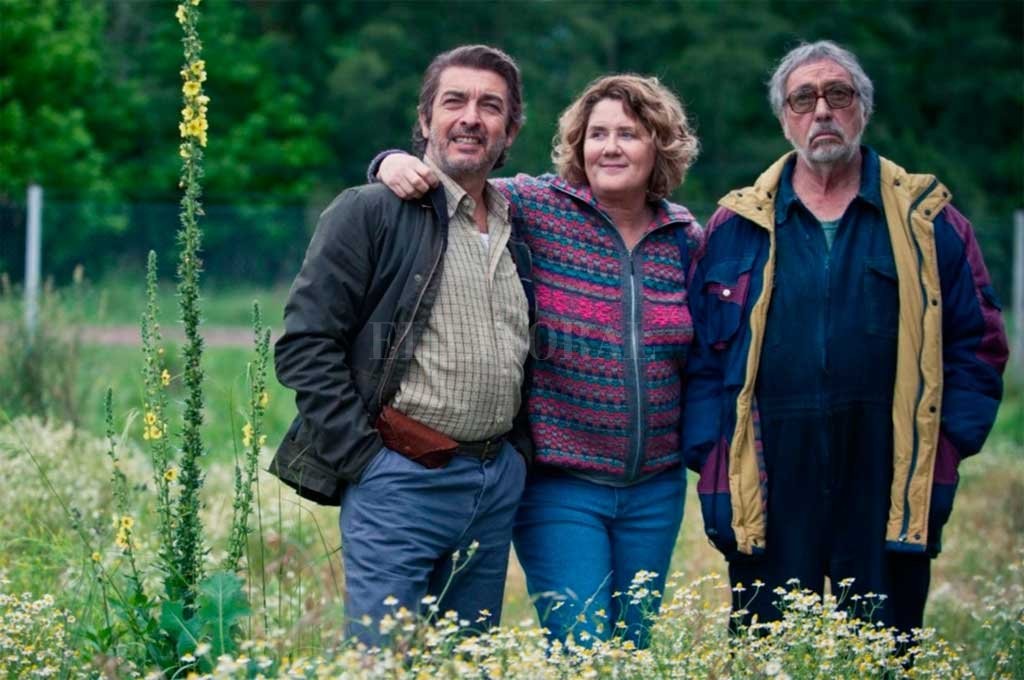 "La odisea de los giles" fue elegida para ir a los Oscar | Espectáculos