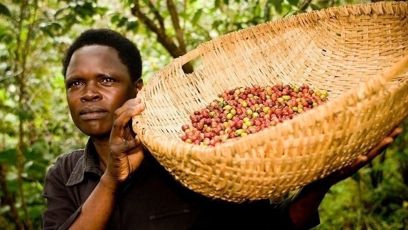 Día Internacional del Café: ¿De qué se trata la movida del #CoffeePledge? | Información General