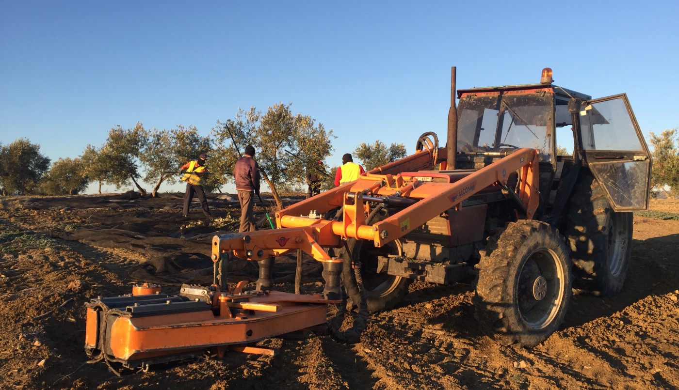 Trabajadores rurales percibirán el bono de 5.000 pesos en tres cuotas | Información General