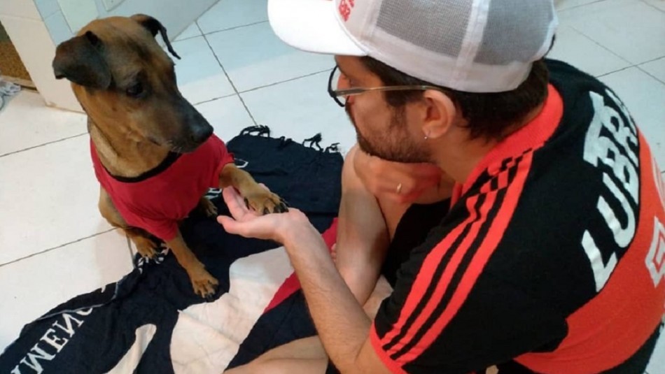 Un hincha vende su entrada de la Copa Libertadores para salvar a su perro con cáncer | Internacionales