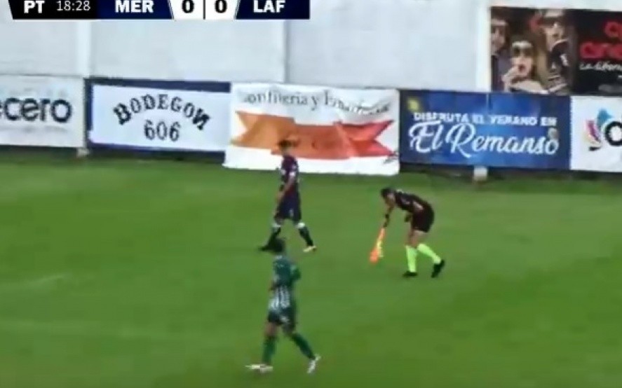 Insólito: tuvieron que parar un partido de Primera C por un ataque de teros | Deportes