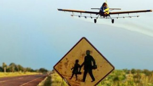 Entre Ríos: fallo judicial permite fumigar con agrotóxicos a 150 metros de escuelas rurales | Información General