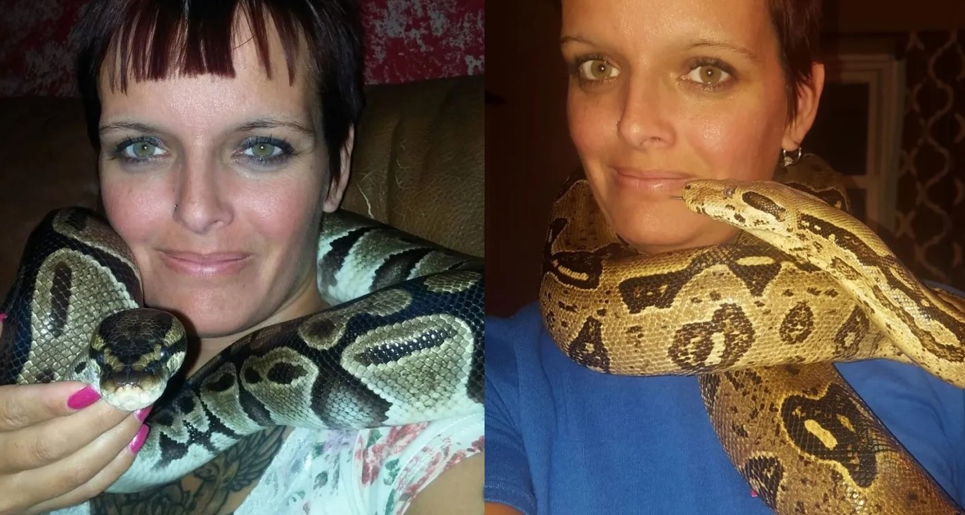Coleccionaba serpientes y apareció muerta con una pitón enroscada en el cuello | Internacionales