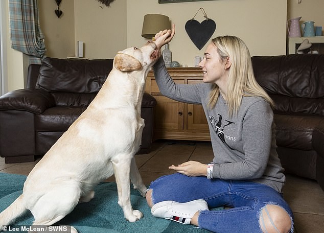 La historia de Freddie, el perro que salva a su dueña que sufre convulsiones hasta 100 veces al día | Internacionales