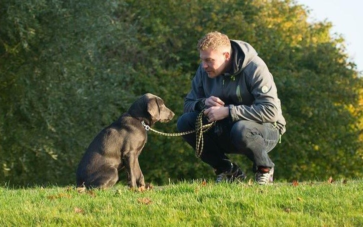 Estudio descubrió que los perros pueden reconocer una misma palabra aunque sea pronunciada por desconocidos | Información General