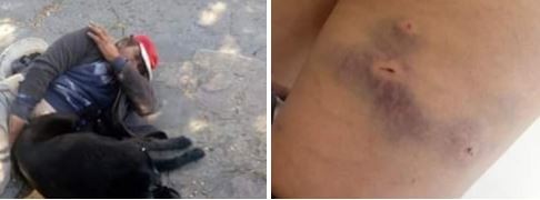 Bariloche: hartos de un violador de perros, marcharon para pedir justicia | Información General