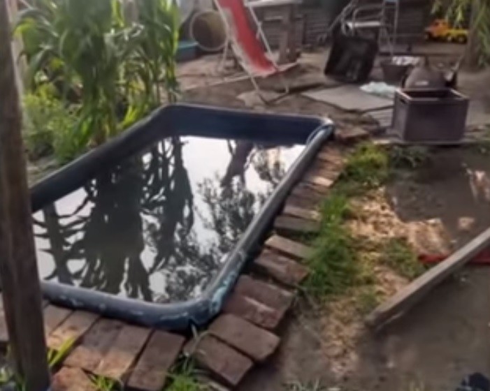 Detuvieron a una pareja por intentar matar a su hijo de 9 años | Información General