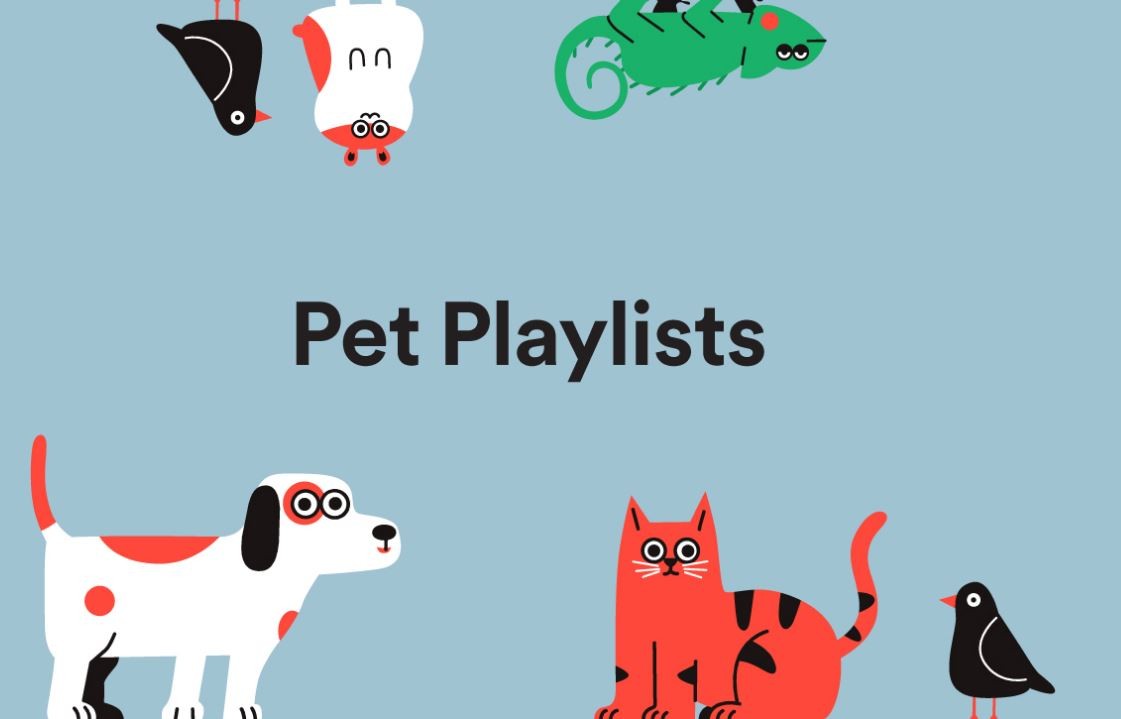 Spotify lanzó listas de reproducción para que las mascotas no extrañen a sus dueños | Tecnología