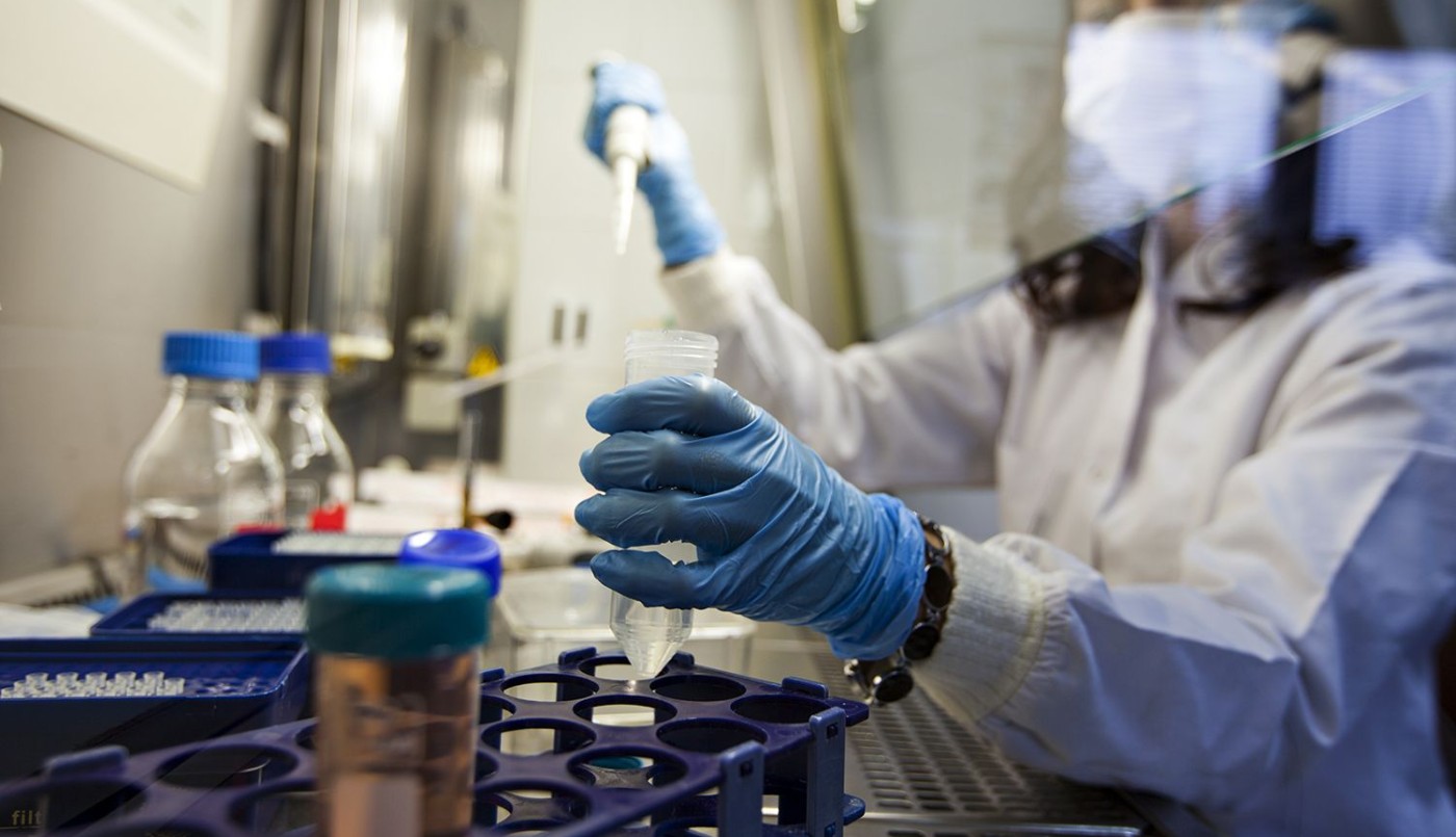 Más de 129.000 nuevos casos de cáncer se detectan por año en la Argentina | Información General