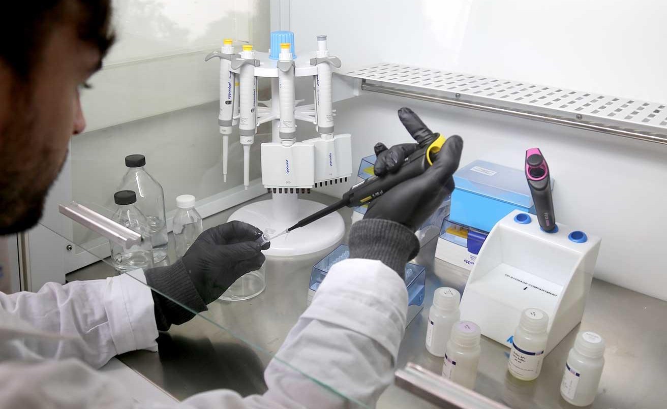 Duplicarán ingresos al Conicet y elevarán los subsidios a proyectos de investigación en 2020 | Información General