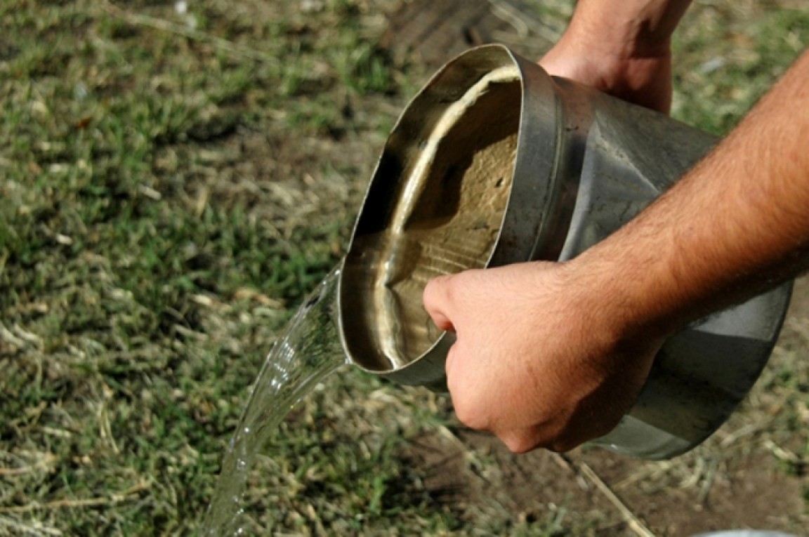 Salud Pública confirmó seis casos autóctonos de dengue en Rosario | Información General