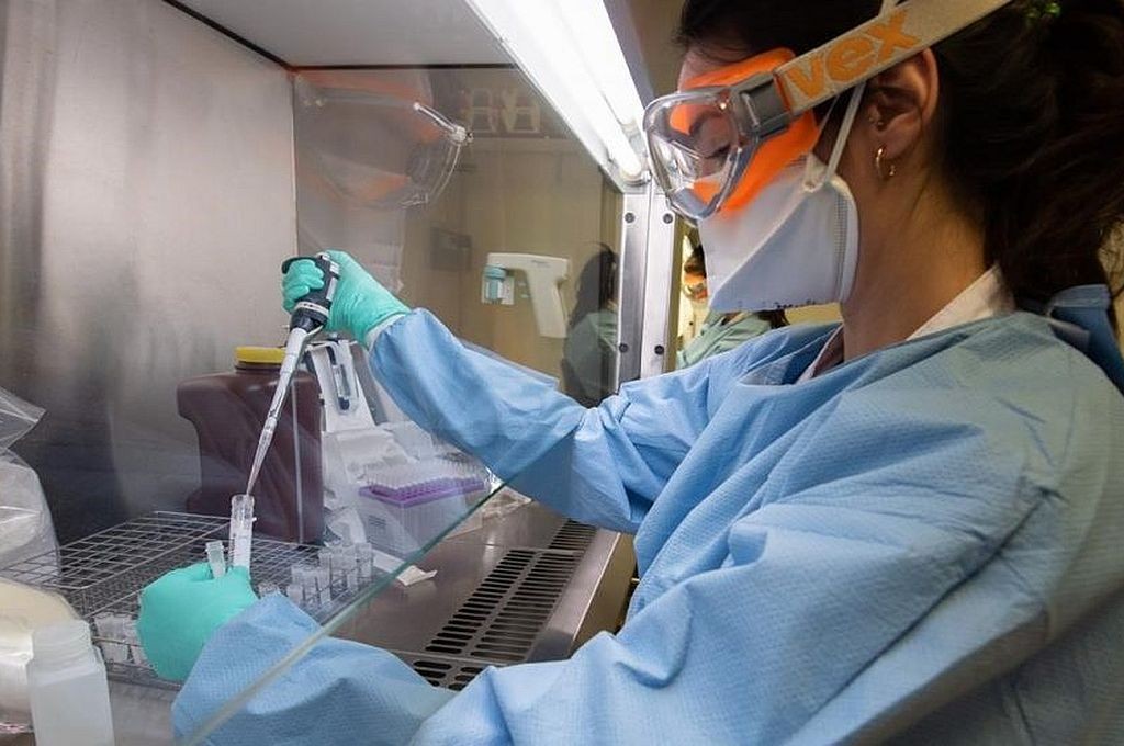 Coronavirus en Argentina: son 34 los muertos | Información General