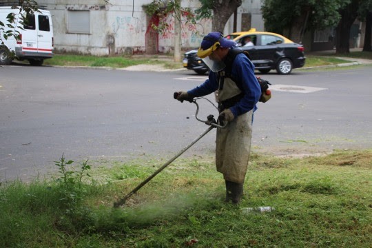 Autorizan la circulación de jardineros para combatir el dengue | Información General