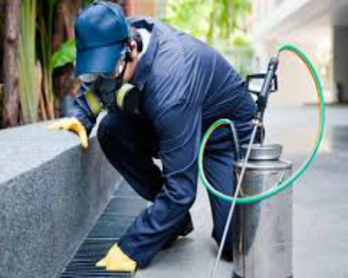 Amplían el listado de actividades y servicios esenciales durante la emergencia | Información General