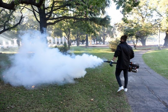 Confirman 566 casos de dengue en Rosario | Información General