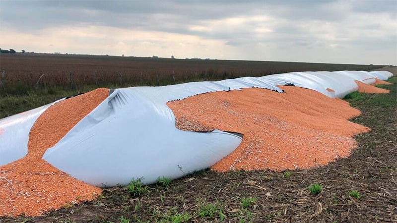 Categórico repudio del Gobierno al vandalismo en zonas rurales | Información General