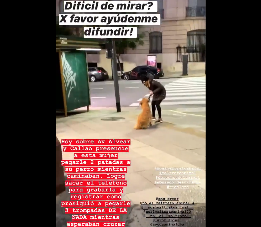 Maltrató a su perro en la calle, la filmaron e intervino la Justicia | Información General
