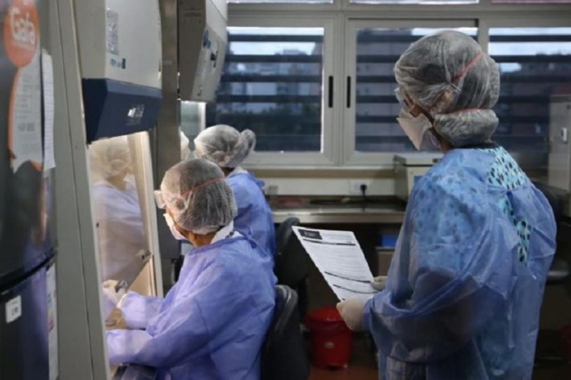 El Ministerio de Salud confirma seis nuevas muertes con Covid-19 en la Provincia | Información General