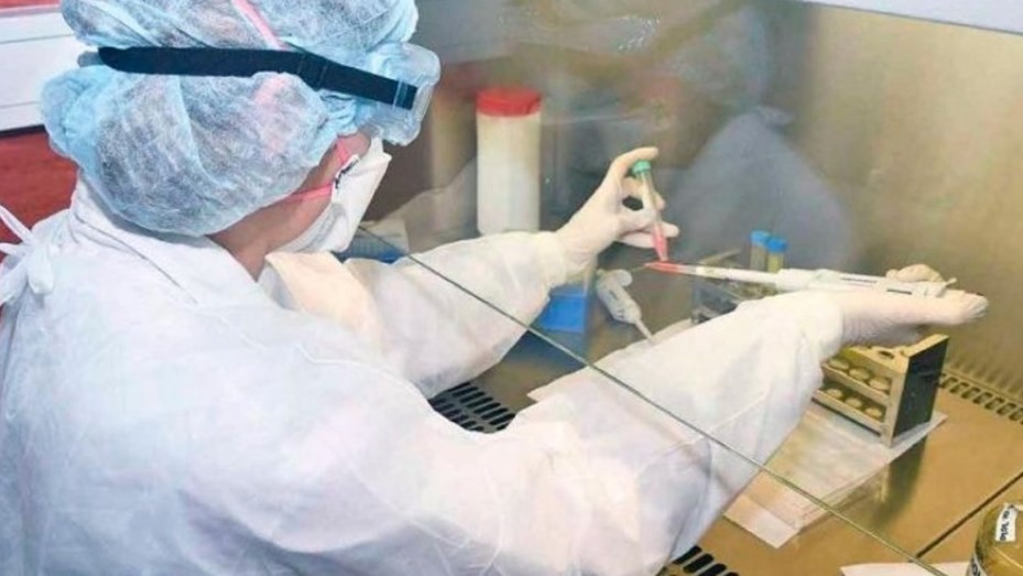 Nuevas esperanzas: científicos encontraron un punto débil del coronavirus | Internacionales