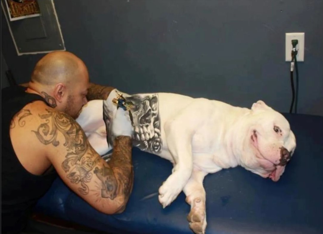 Polémica por una nueva moda: tatuar perros | Tecnología