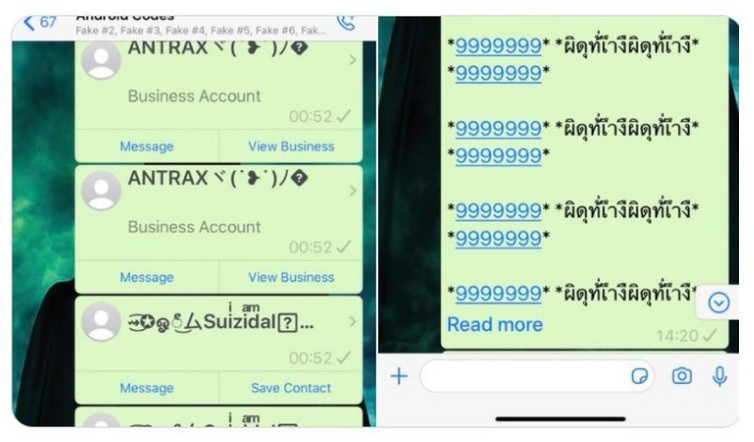 Alertan por un mensaje de WhatsApp que bloquea la aplicación | Tecnología