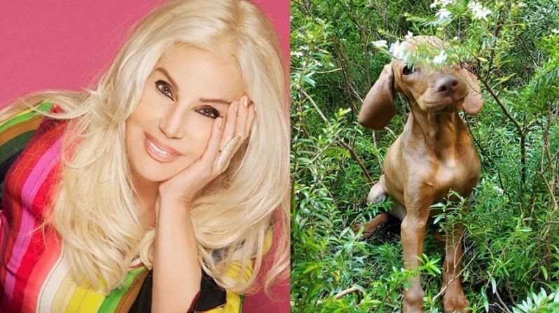 El tierno video de Susana con su perra Rita | Espectáculos