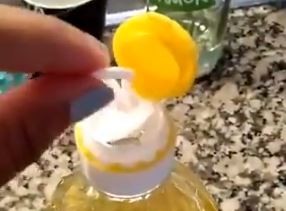 Descubren para qué sirve "el cosito del aceite" | Tecnología