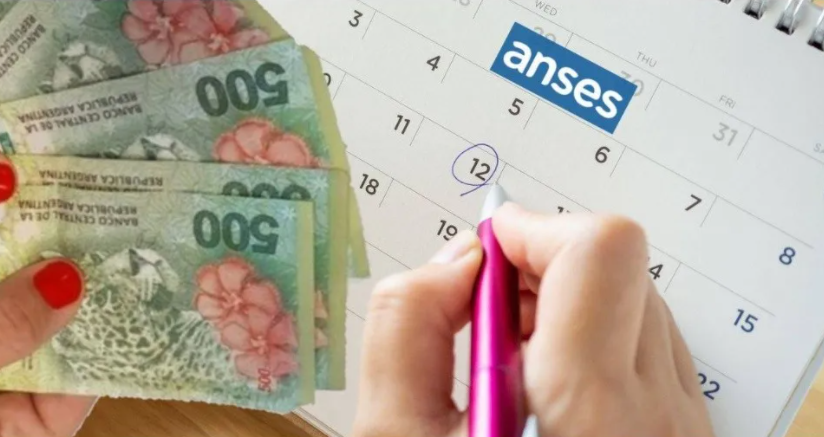 Conocé las limitaciones que tendrá el IFE en Octubre | Servicios