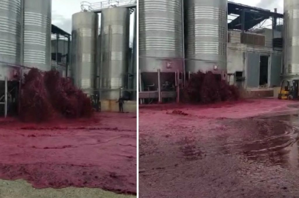 Traigan copas: el video viral de un río de vino tinto en una bodega | Tecnología