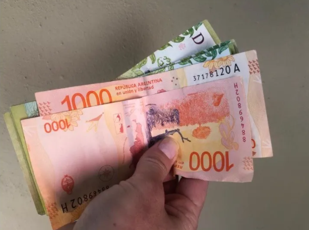 ¿IFE o Ingreso Básico? Conocé a quiénes incluiría la nueva ayuda económica | Servicios