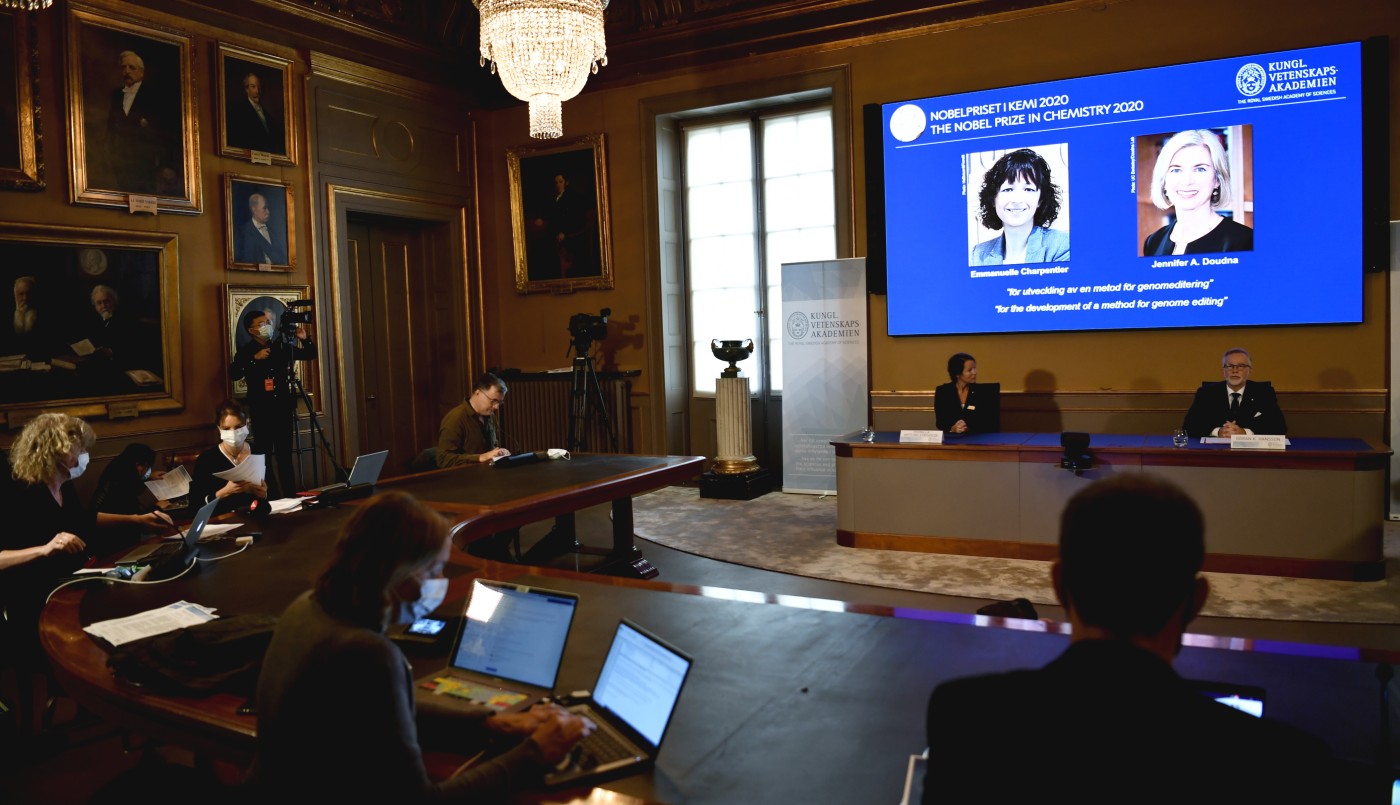 Otorgan el Nobel de Química a dos científicas por sus trabajos en edición genética | Información General