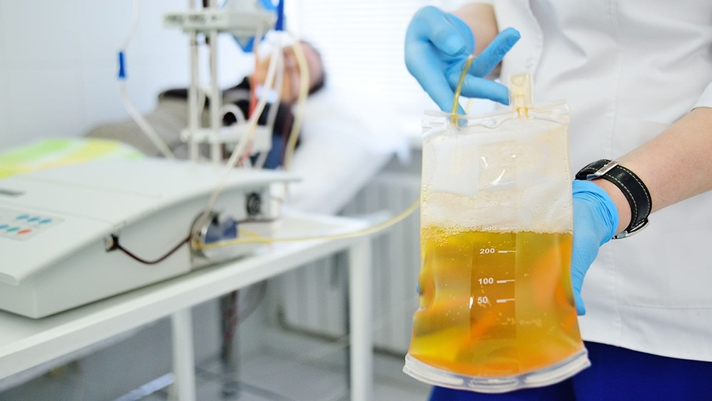 Córdoba: un municipio eximirá de impuestos a quienes donen plasma | Información General