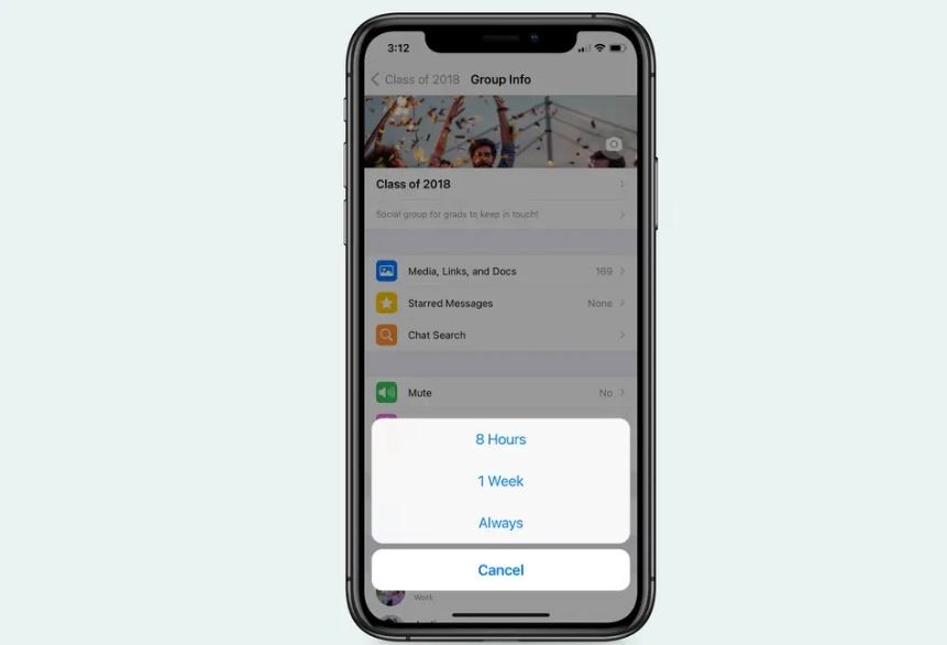 WhatsApp ya permite silenciar los grupos y chats para siempre: así se hace | Tecnología