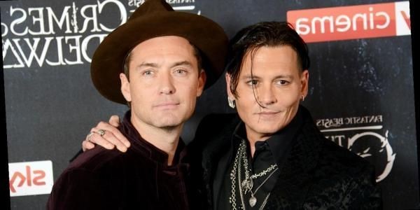 Jude Law se manifestó a favor de dejar fuera de "Animales fantásticos" a Johnny Depp | Espectáculos