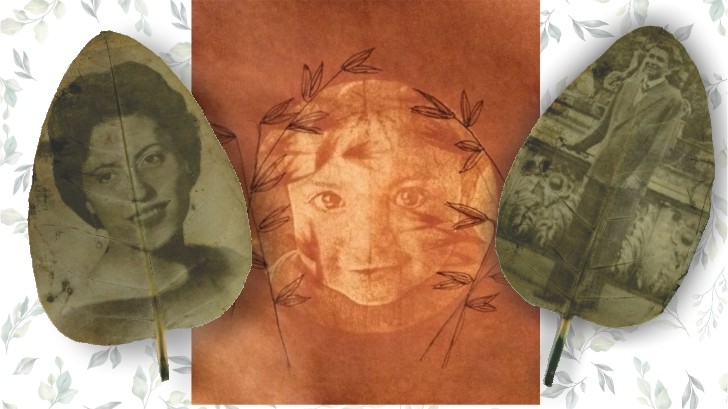 La clorofila revela imágenes mágicas | Información General